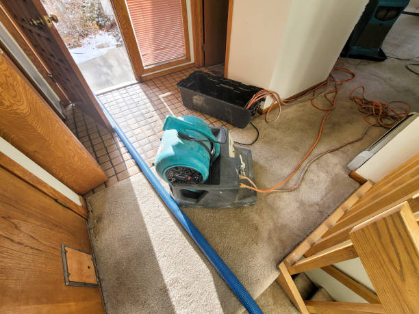 Best Basement water damage restoration  in Fort Pierce, FL
